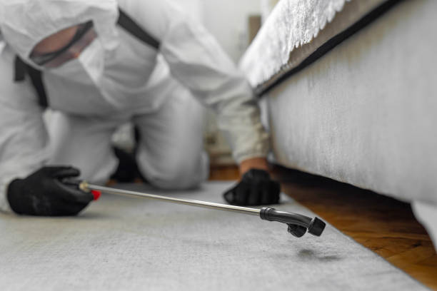 Professional Termite Control technician working in Minco, OK