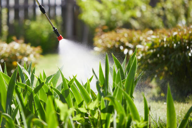 24/7 Emergency Termite Control experts in Minco, OK