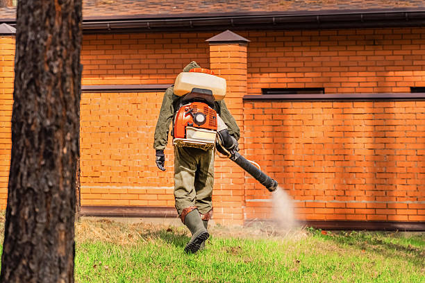 Top rated local Termite Control specialists in Minco, OK
